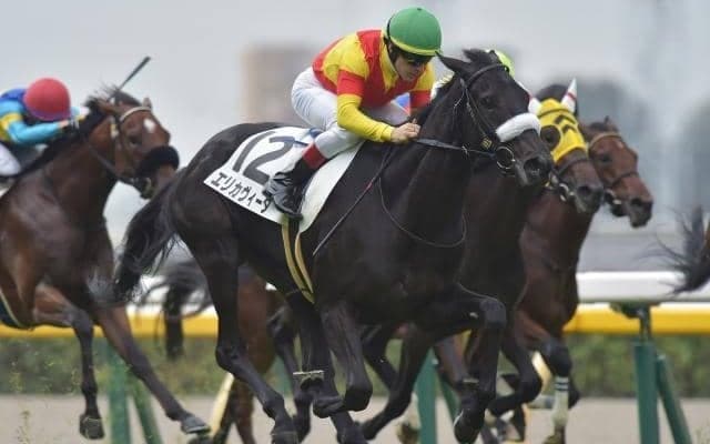 【フェアリーS枠順確定】エリカヴィータは5枠9番、スクルトゥーラは3枠5番