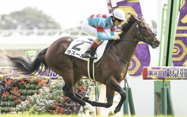 【シンザン記念前日オッズ】牝馬ラスールが1.8倍で1番人気