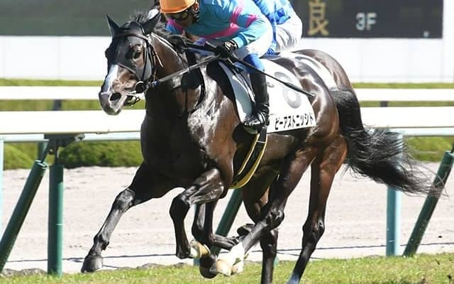 【シンザン記念予想】展開面で伏兵にチャンス!? 3強に割って入る「お宝馬」に妙味たっぷり