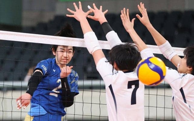 春高バレー　女子準決勝　金蘭会（大阪）３年ぶり決勝ならず