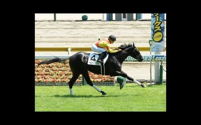 穴党向きのシンザン記念は今年も大荒れの予感。舞台合う２頭が高配当を演出か