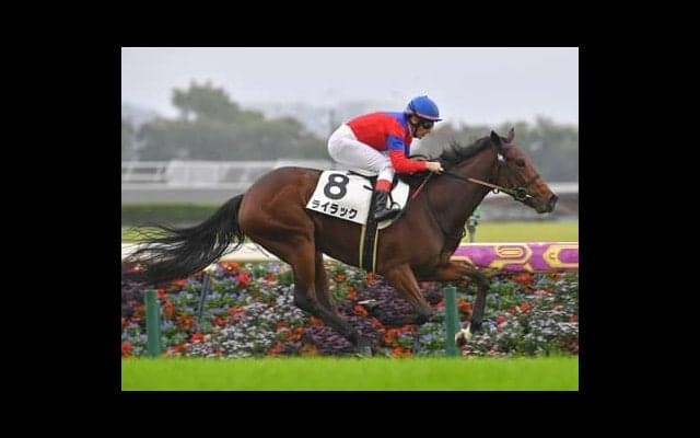 「荒れる」のが当たり前のフェアリーＳ。穴党記者推奨の３頭がビッグなお年玉を運んでくる