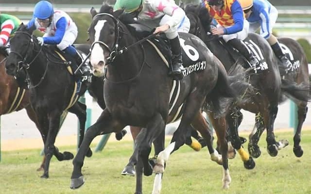 【シンザン記念予想】AIは穴馬を「◎」に抜擢！ 3年連続「10万超え」波乱必至の重賞でマジックが炸裂する!?