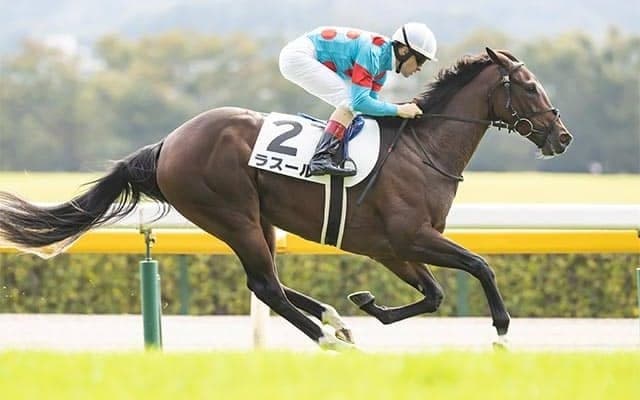 【シンザン記念・馬体重】ラスールは478kg(+4)、ソリタリオは482kg(+4)