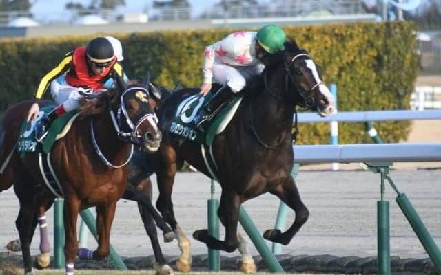 【シンザン記念結果】横山典弘騎手騎乗マテンロウオリオンが内から抜け出て連勝で重賞制覇