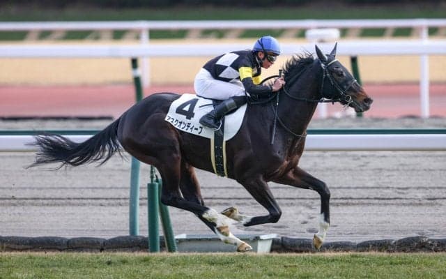 【新馬/中京6R】ディープ産駒 アスクオンディープがデビューV