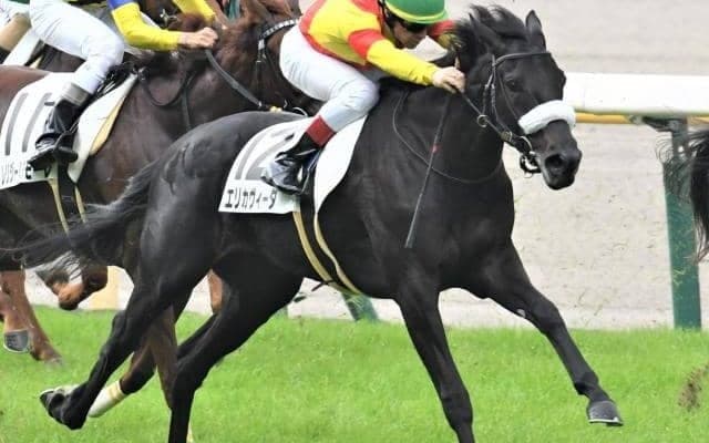 【フェアリーS予想】注目度上昇中の牝馬限定重賞、春を夢見る少女達が覇を競う