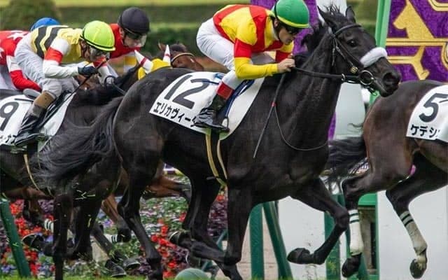 【フェアリーS・馬体重】エリカヴィータは438kg(-6)、ライラックは420kg(-4)