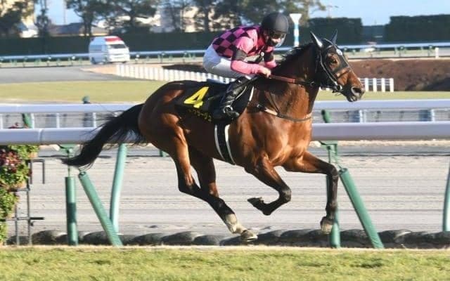 【淀短距離S結果】スマートクラージュが内から抜け出しオープン入り初戦を制す