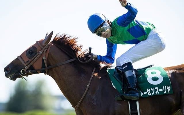 【JRA】重賞2勝馬トーセンスーリヤが大井競馬に移籍