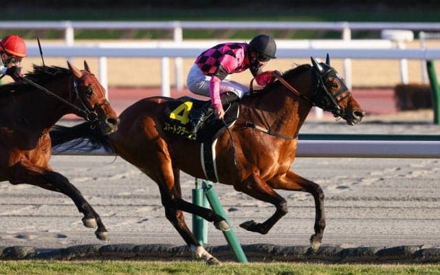 【淀短距離S】スマートクラージュが最内から抜け出す