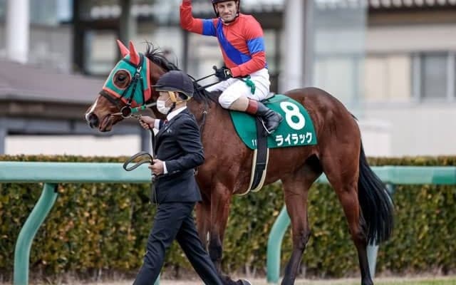 【フェアリーS】売上は76億8544万5000円で昨年からおよそ15.3億円の増加