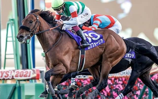 年度代表馬はエフフォーリア！最優秀4歳以上牡馬にコントレイル　2021年度JRA賞発表