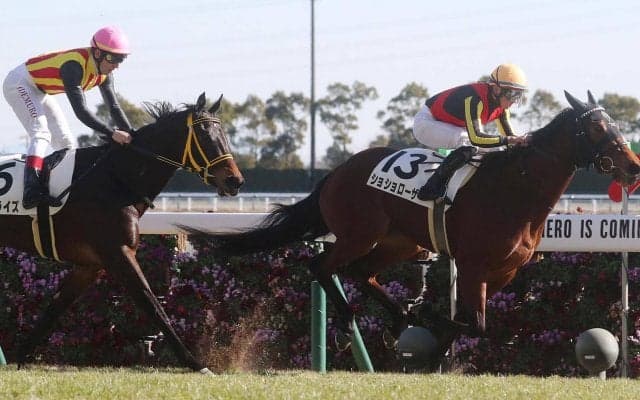 【新馬/中京6R】ワールドプレミア半妹 ショショローザがデビューV