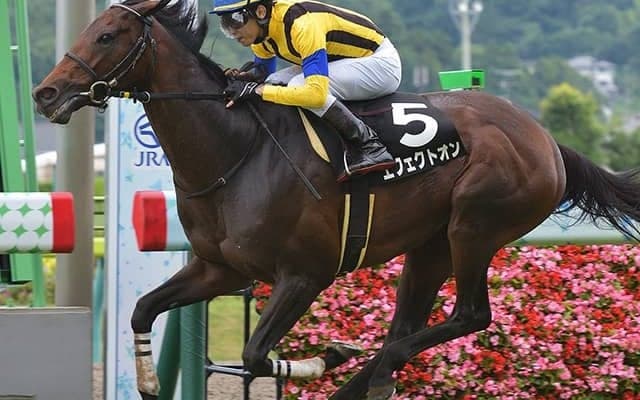 【日経新春杯予想】AI本命候補は「超人気薄」!? 大波乱が期待できる妙味たっぷりの狙い馬は