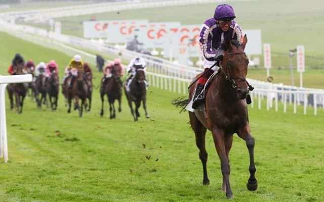 スノーフォール安楽死　昨年英オークス16馬身差圧勝のディープインパクト産駒