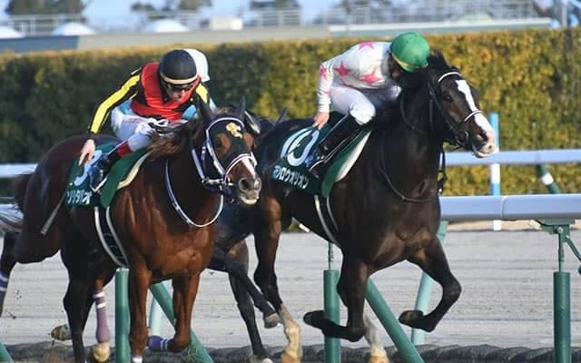 現3歳世代も重賞馬を2頭輩出 意気軒高の活躍を見せるダイワメジャー産駒