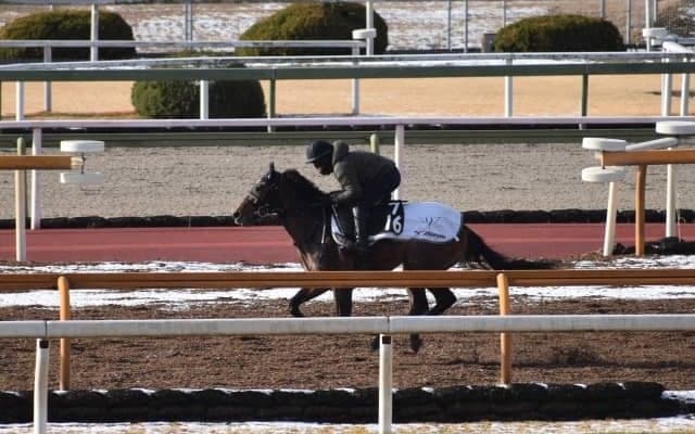 ダノンスコーピオンなど、先週の入厩情報/栗東トレセンニュース
