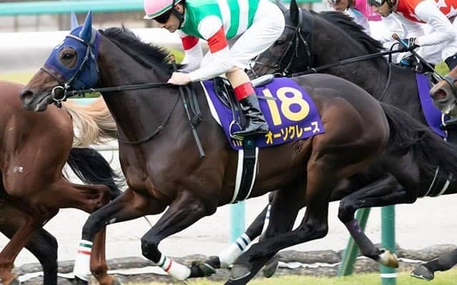 【AJCC想定】菊花賞2着のオーソクレース、重賞初制覇を狙うポタジェなど