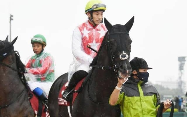 【日経新春杯予想オッズ】ステラヴェローチェが予想1番人気