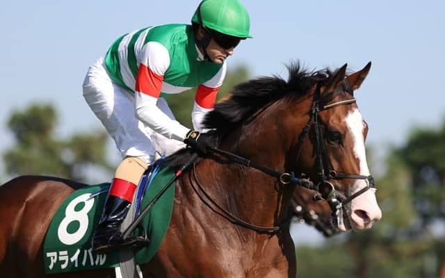 【京成杯予想オッズ】アライバルが予想1番人気