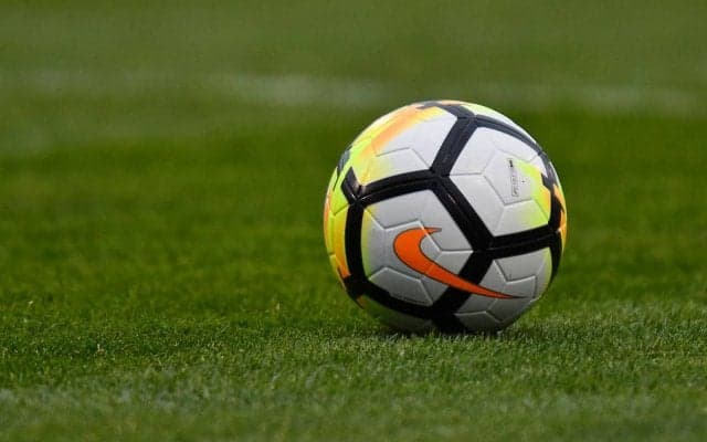 「地形を形どったハート形をモチーフに」Jリーグ昇格目指すFCティアモ枚方がエンブレムを大刷新！