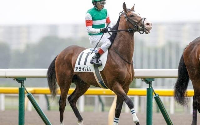 【京成杯出走馬・騎手確定】アライバル＆ルメール騎手、オニャンコポン＆菅原明良騎手など16頭