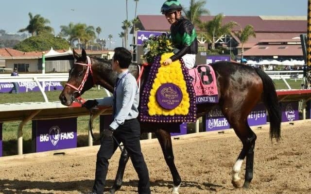 【JRA】ラヴズオンリーユーの引退式を東京競馬場で開催