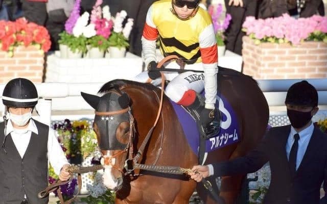 【次走】朝日杯FS4着アルナシームは池添騎手でつばき賞へ　橋口師「ここ次第でダービー路線へ」