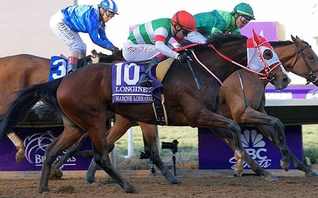 サウジカップの登録馬発表　日本馬はマルシュロレーヌ・テーオーケインズ・チュウワウィザードなど
