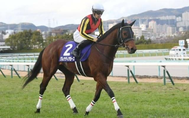 1351ターフスプリントにグレナディアガーズ・ホウオウアマゾン・ソングラインなど日本馬15頭が登録