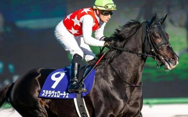 【日経新春杯枠順確定】ステラヴェローチェは2枠4番、ヨーホーレイクは5枠10番