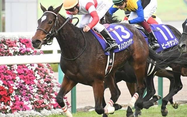 【JRA】ダノンファンタジーが引退、繁殖入りへ　重賞6勝・2018年最優秀2歳牝馬