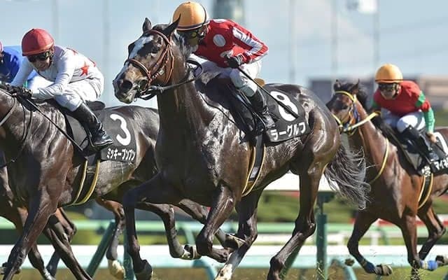 【次走】ホープフルS3着のラーグルフは弥生賞ディープ記念へ