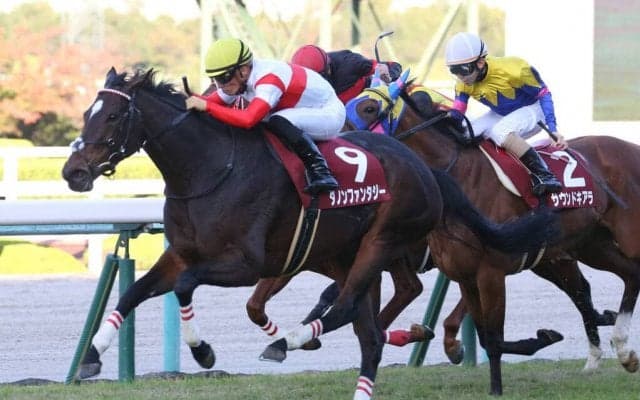 ダノンファンタジーが競走馬登録抹消