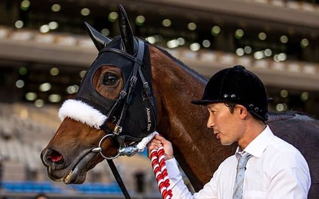 アーモンドアイの仔は理想形？ 決め手は『ナスルーラのバリエーション』父・母父の黄金配合を併せ持つ血統背景を紐解く