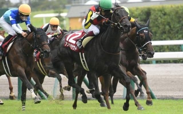 【本日の注目ポイント】中京で牝馬のハンデ重賞・愛知杯