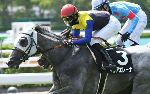 【愛知杯予想】末脚は重賞級、軽ハンデも利して重賞初勝利のチャンス