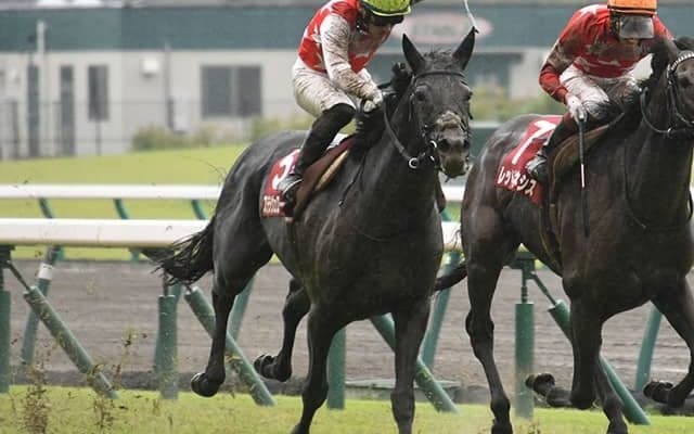 【日経新春杯予想】ステラヴェローチェは馬場がカギ!? 良馬場なら「あの馬」が逆転候補に