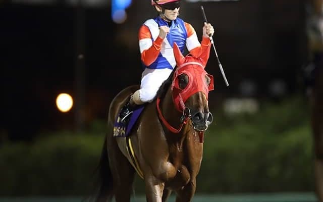 【東海S想定】大井の女傑サルサディオーネ、前年覇者オーヴェルニュなど19頭