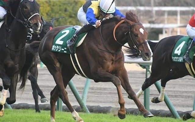 【AJCC想定】ポタジェは川田将雅騎手、ボッケリーニは横山武史騎手