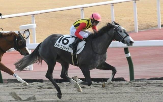 【中京4R新馬戦結果】5番人気ナパージュケイクが外から押し切り2馬身差完勝