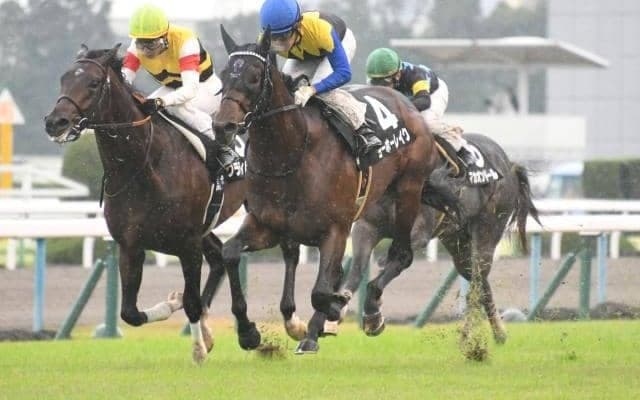 【日経新春杯予想】中京替わりの昨年は大波乱に　注目は前走の人気!?/JRAレース展望 
