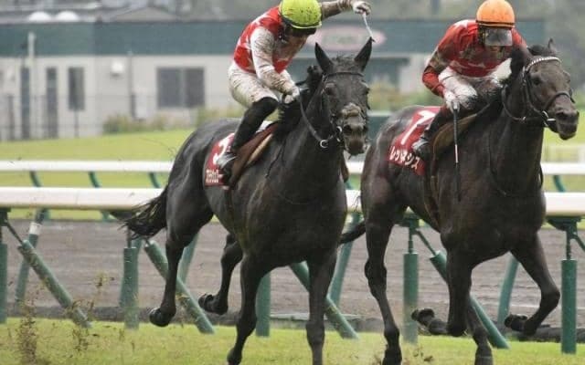 【日経新春杯予想】2022年最初のGII競走、明け4歳世代の進化と真価に注目