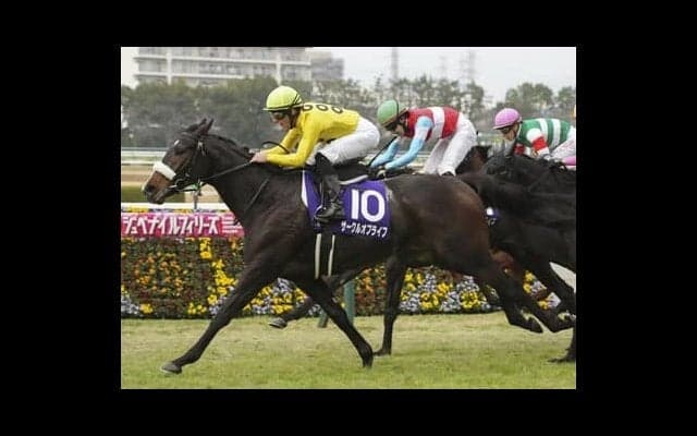 ２歳女王に輝いたサークルオブライフ。陣営が語る３歳牝馬クラシックに向けての自信