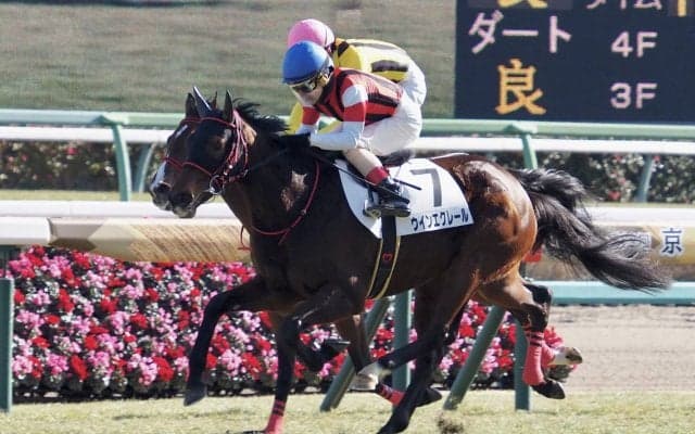 【新馬/中山6R】良血ウインエクレールがデビューV