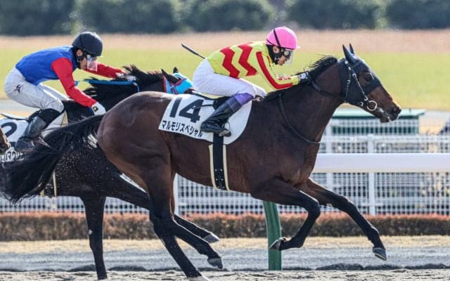 【中京1R】武豊 マルモリスペシャルが初勝利