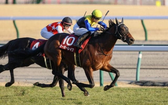 【日経新春杯】川田「今後の成長も楽しみ」ヨーホーレイクが重賞初制覇