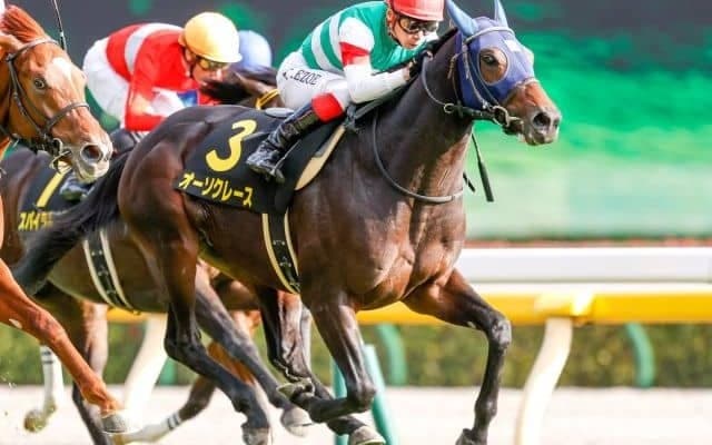 【AJCC見どころ】菊花賞2着馬オーソクレースが明け4歳初戦で重賞初制覇を狙う