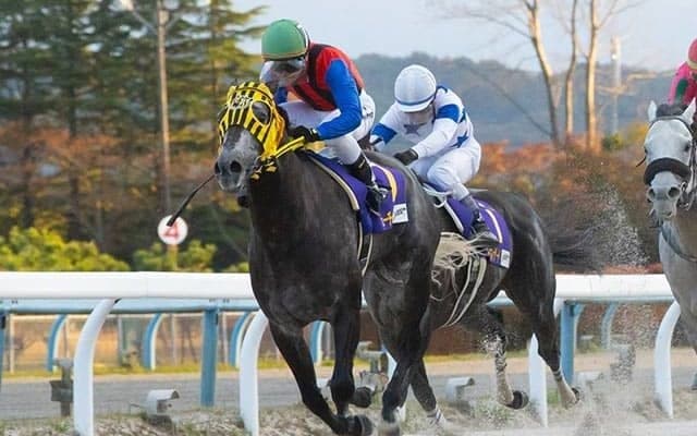 ミューチャリーがNARグランプリ2021年度代表馬に！ 特別表彰馬にマルシュロレーヌ